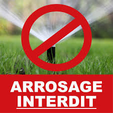 Interdiction d’arrosage en vigueur